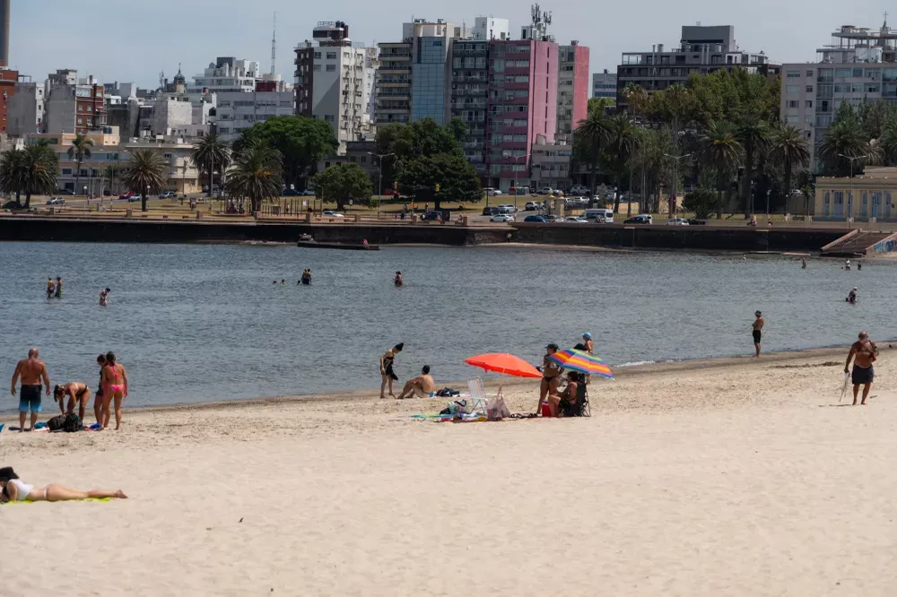 Imagen de Contaminación de playas en enero: las peores en Canelones, las que superaron límites en Montevideo y la falta de datos en Rocha y Maldonado