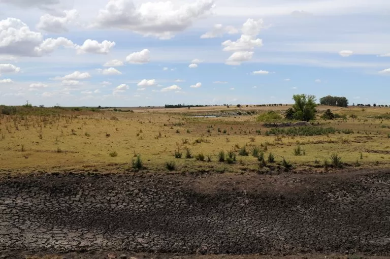 Imagen de MGAP convoca a Comisión de Emergencias Agropecuarias y amplía medidas por déficit hídrico