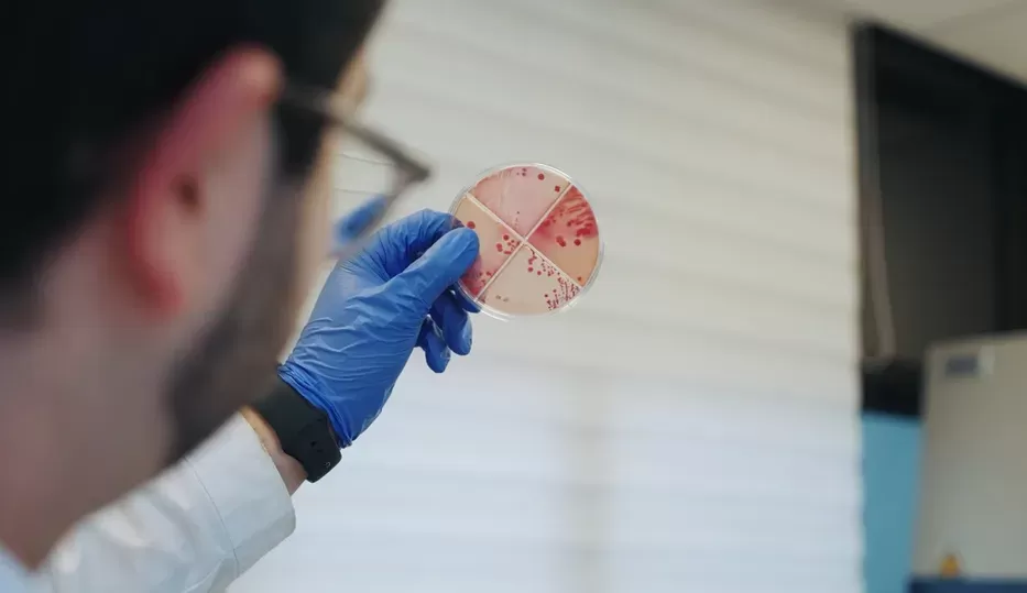 Imagen de Virus que matan bacterias, salvan vidas y un hito en la medicina uruguaya